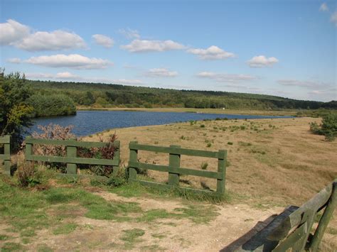 wandelen in maaseik|Wandelen in natuurgebied Bergerven 